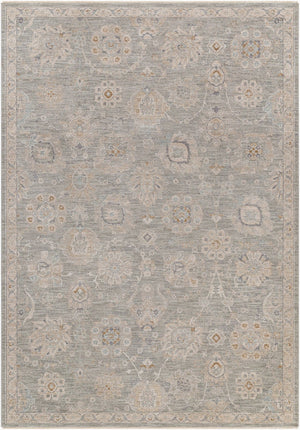 Livabliss Avant Garde Traditional Fringe Area Rug Machine Woven Turkey High Low Pile Living Room Dusty Sage, Lig 6'7" x 9'6" AVT2335-6796