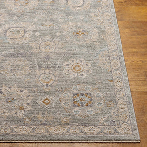 Livabliss Avant Garde Traditional Fringe Area Rug Machine Woven Turkey High Low Pile Living Room Dusty Sage, Lig 10' x 13'11" AVT2335-1014
