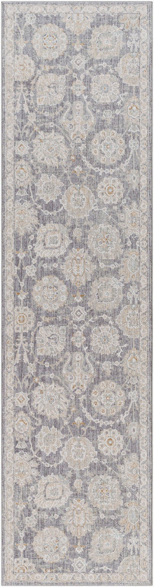 Livabliss Avant Garde Traditional Area Rug with High Low Pile Fringe Detail for Formal Living Rooms Denim, Dusty Sa 2'7" x 10' AVT2336-2710