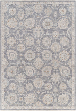 Livabliss Avant Garde Traditional Area Rug with High Low Pile Fringe Detail for Formal Living Rooms Denim, Dusty Sa 6'7" x 9'6" AVT2336-6796