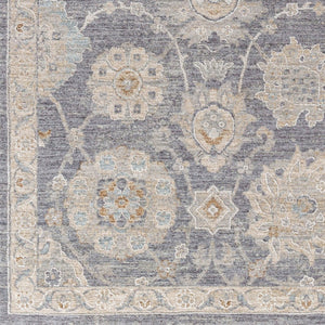 Livabliss Avant Garde Traditional Area Rug with High Low Pile Fringe Detail for Formal Living Rooms Denim, Dusty Sa 5' x 7'5" AVT2336-575