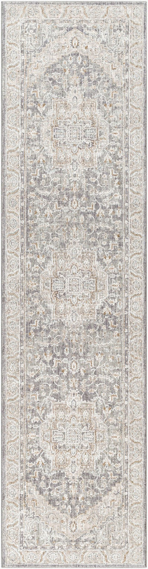 Livabliss Avant Garde Traditional Fringed Area Rug Polypropylene Blend for Dining Living Rooms Denim, Dusty Sa 2'7" x 10' AVT2337-2710