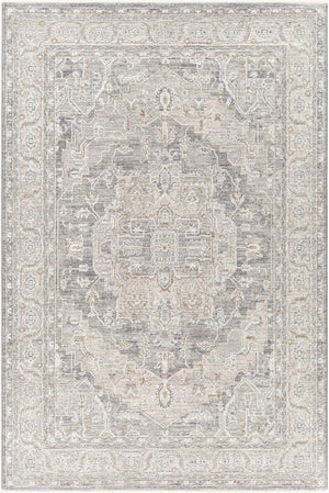 Livabliss Avant Garde Traditional Fringed Area Rug Polypropylene Blend for Dining Living Rooms Denim, Dusty Sa 2'7" x 3'11" AVT2337-274
