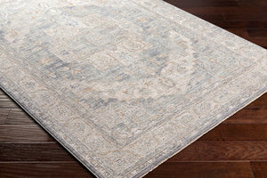Livabliss Avant Garde Traditional Fringed Area Rug Polypropylene Blend for Dining Living Rooms Denim, Dusty Sa 5'3" x 5'3" AVT2337-53RD