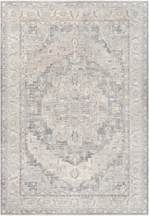 Livabliss Avant Garde Traditional Fringed Area Rug Polypropylene Blend for Dining Living Rooms Denim, Dusty Sa 6'7" x 9'6" AVT2337-6796