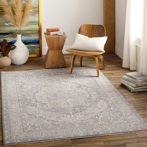 Livabliss Avant Garde Traditional Fringed Area Rug Polypropylene Blend for Dining Living Rooms Denim, Dusty Sa 2'7" x 3'11" AVT2337-274