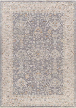 Livabliss Avant Garde Machine Woven Polypropylene Area Rug with Fringe for Living Room Denim, Dusty Sa 6'7" x 9'6" AVT2338-6796