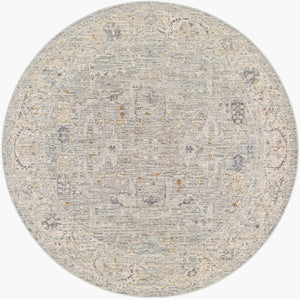 Livabliss Avant Garde Machine Woven Polyester Area Rug with Fringe Heritage Patterning for Large Rooms Charcoal, Brown 7'10" x 7'10" AVT2339-710RD