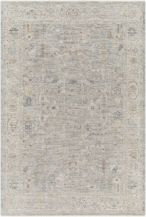 Livabliss Avant Garde Machine Woven Polyester Area Rug with Fringe Heritage Patterning for Large Rooms Charcoal, Brown 2' x 2'11" AVT2339-23