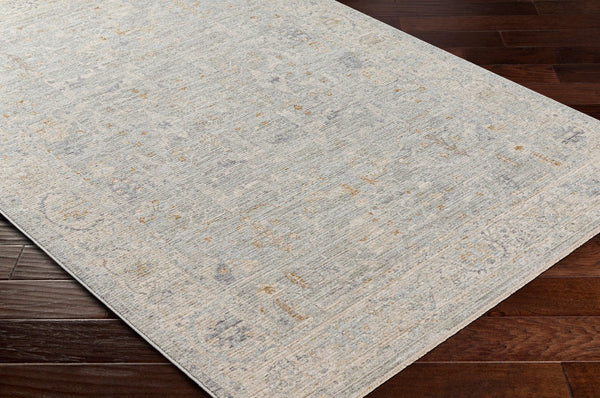 Livabliss Avant Garde Machine Woven Polyester Area Rug with Fringe Heritage Patterning for Large Rooms Charcoal, Brown 2' x 2'11" AVT2339-23