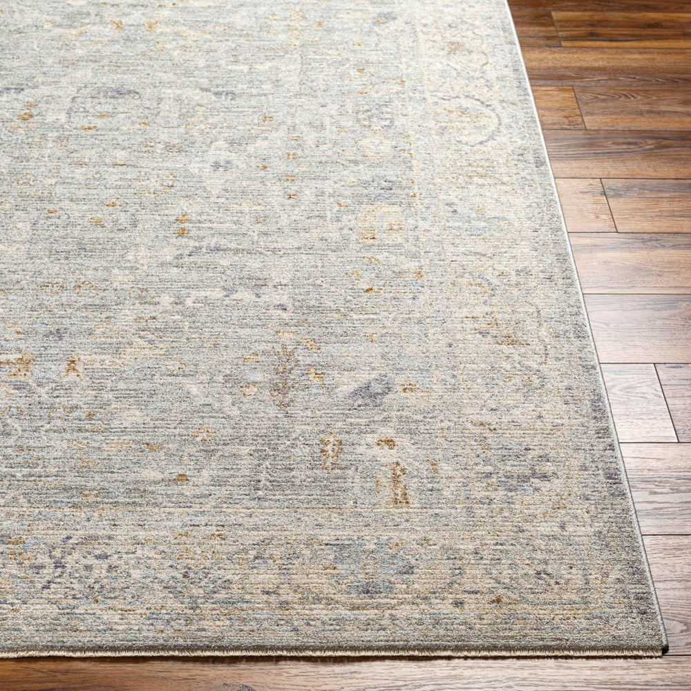 Livabliss Avant Garde Machine Woven Polyester Area Rug with Fringe Heritage Patterning for Large Rooms Charcoal, Brown 2'7" x 7'3" AVT2339-2773