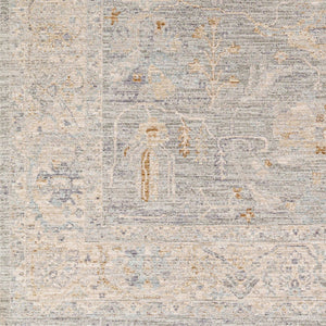 Livabliss Avant Garde Machine Woven Polyester Area Rug with Fringe Heritage Patterning for Large Rooms Charcoal, Brown 2' x 2'11" AVT2339-23