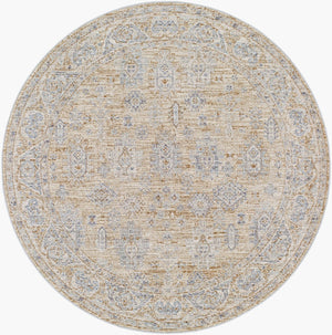 Livabliss Avant Garde Traditional Fringe Area Rug Polyester High Low Pile for Large Rooms Dusty Sage, Med 5'3" x 5'3" AVT2340-53RD