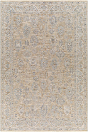 Livabliss Avant Garde Traditional Fringe Area Rug Polyester High Low Pile for Large Rooms Dusty Sage, Med 6'7" x 9'6" AVT2340-6796