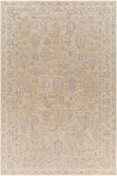 Avant Garde AVT-2340 6'7" x 9'6" Machine Woven Rug AVT2340-6796 Livabliss Surya