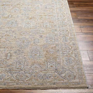 Livabliss Avant Garde Traditional Fringe Area Rug Polyester High Low Pile for Large Rooms Dusty Sage, Med 10' x 13'11" AVT2340-1014