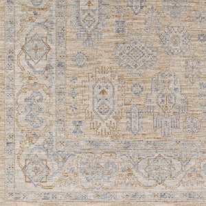 Livabliss Avant Garde Traditional Fringe Area Rug Polyester High Low Pile for Large Rooms Dusty Sage, Med 10' x 13'11" AVT2340-1014