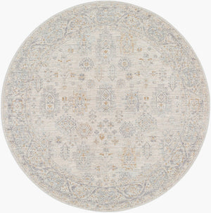 Livabliss Avant Garde Persian Style Polyester Area Rug with Fringe for Living Room Floors Charcoal, Deep 7'10" x 7'10" AVT2342-710RD
