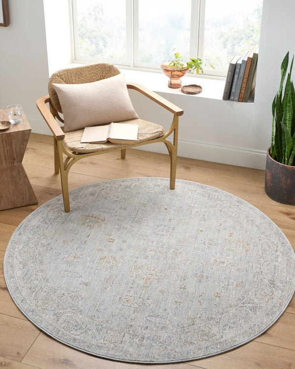 Livabliss Avant Garde Persian Inspired Area Rug with Fringe Trim for Living Room Decor Medium Gray, De 5'3" x 5'3" AVT2343-53RD