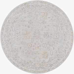 Livabliss Avant Garde Persian Inspired Area Rug with Fringe Trim for Living Room Decor Medium Gray, De 5'3" x 5'3" AVT2343-53RD