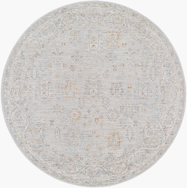 Livabliss Avant Garde Persian Inspired Area Rug with Fringe Trim for Living Room Decor Medium Gray, De 5'3" x 5'3" AVT2343-53RD
