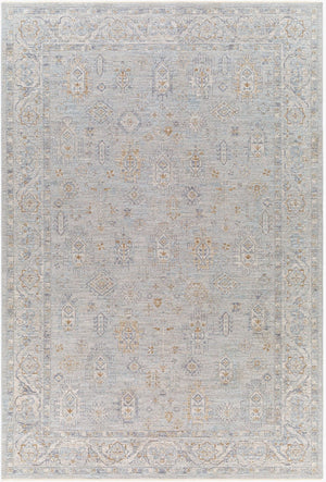 Livabliss Avant Garde Persian Inspired Area Rug with Fringe Trim for Living Room Decor Medium Gray, De 6'7" x 9'6" AVT2343-6796