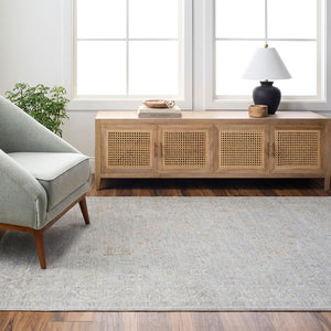 Livabliss Avant Garde Persian Inspired Area Rug with Fringe Trim for Living Room Decor Medium Gray, De 10' x 13'11" AVT2343-1014