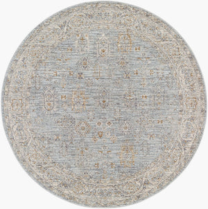 Livabliss Avant Garde Medallion Area Rug Machine Woven Turkish Polyester with Fringe Trim Medium Gray, De 7'10" x 7'10" AVT2344-710RD