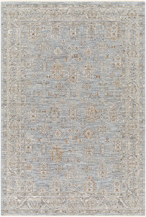 Livabliss Avant Garde Medallion Area Rug Machine Woven Turkish Polyester with Fringe Trim Medium Gray, De 5' x 7'5" AVT2344-575