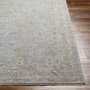 Livabliss Avant Garde Medallion Area Rug Machine Woven Turkish Polyester with Fringe Trim Medium Gray, De 5' x 7'5" AVT2344-575