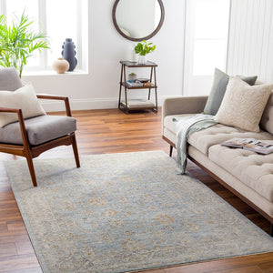 Livabliss Avant Garde Medallion Area Rug Machine Woven Turkish Polyester with Fringe Trim Medium Gray, De 5' x 7'5" AVT2344-575