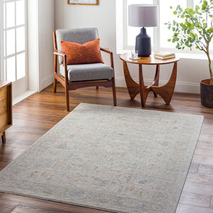 Livabliss Avant Garde Fringe Border Polyester Area Rug for Living Room or Dining Space Medium Gray, Ch 6'7" x 9'6" AVT2348-6796
