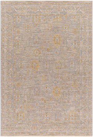 Livabliss Avant Garde Traditional Fringe Area Rug Woven Polyester for Formal Living Rooms Taupe, Medium G 10' x 13'11" AVT2352-1014