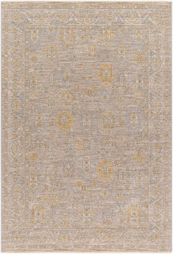 Livabliss Avant Garde Traditional Fringe Area Rug Woven Polyester for Formal Living Rooms Taupe, Medium G 10' x 13'11" AVT2352-1014