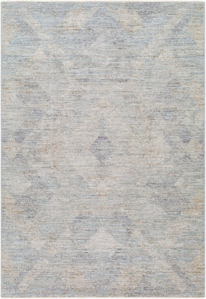 Livabliss Avant Garde Machine Woven Polyester Area Rug with Fringe Border for Modern Living Charcoal, Dusty 9' x 12'2" AVT2356-9122