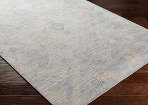 Livabliss Avant Garde Machine Woven Polyester Area Rug with Fringe Border for Modern Living Charcoal, Dusty 9' x 12'2" AVT2356-9122