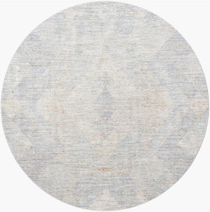 Livabliss Avant Garde Machine Woven Polyester Area Rug with Fringe Border for Modern Living Charcoal, Dusty 7'10" x 7'10" AVT2356-710RD