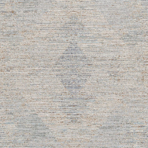 Livabliss Avant Garde Machine Woven Polyester Area Rug with Fringe Border for Modern Living Charcoal, Dusty 9' x 12'2" AVT2356-9122