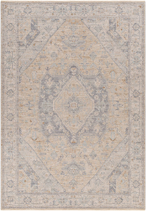 Avant Garde AVT-2357 6'7" x 9'6" Machine Woven Rug AVT2357-6796  Dusty Sage, Medium Gray, Charcoal, Deep Teal Surya