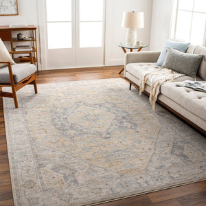 Livabliss Avant Garde Traditional Fringe Area Rug Polyester Woven for Large Living Spaces Dusty Sage, Med 12' x 15' AVT2357-1215