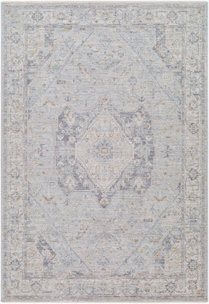 Livabliss Avant Garde Traditional Runner Rug with Fringe Turkish Woven Polyester Hallway Accent Medium Gray, Ch 2'7" x 10' AVT2359-2710