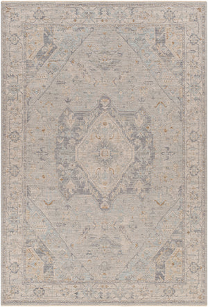 Avant Garde AVT-2359 6'7" x 9'6" Machine Woven Rug AVT2359-6796  Medium Gray, Charcoal, Deep Teal, Dusty Sage Surya