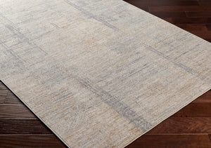 Livabliss Avant Garde Machine Woven Polyester Area Rug with Fringe for Large Living Spaces Charcoal, Dusty 2' x 2'11" AVT2361-23