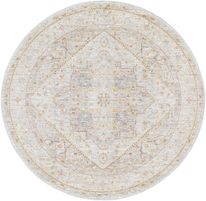 Livabliss Avant Garde Traditional Medallion Polyester Area Rug with Fringe for Large Living Rooms Taupe, Dark Bro 5'3" x 5'3" AVT2362-53RD