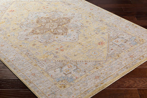 Livabliss Avant Garde Fringe Border Traditional Polyester Area Rug for Large Formal Living Spaces Light Olive, Ta 12' x 15' AVT2363-1215