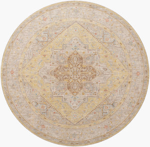Livabliss Avant Garde Fringe Border Traditional Polyester Area Rug for Large Formal Living Spaces Light Olive, Ta 6'7" x 6'7" AVT2363-67RD