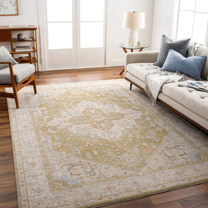 Livabliss Avant Garde Fringe Border Traditional Polyester Area Rug for Large Formal Living Spaces Light Olive, Ta 12' x 15' AVT2363-1215