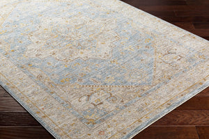 Livabliss Avant Garde Traditional Fringe Area Rug Polyester Woven Formal Living Room Accent Taupe, Medium G 2'7" x 7'3" AVT2365-2773