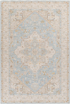 Livabliss Avant Garde Traditional Fringe Area Rug Polyester Woven Formal Living Room Accent Taupe, Medium G 6'7" x 9'6" AVT2365-6796