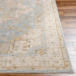 Livabliss Avant Garde Traditional Fringe Area Rug Polyester Woven Formal Living Room Accent Taupe, Medium G 2'7" x 7'3" AVT2365-2773